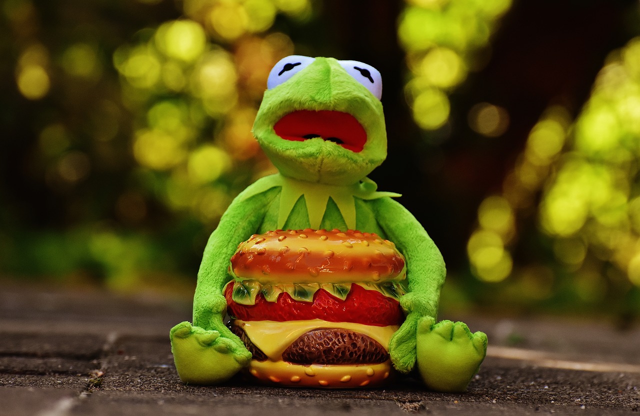 Kermit, Varlė, Cheeseburger, Mėsainis, Juokinga, Gyvūnas, Iškamša, Minkštas Žaislas, Žaislai, Vaikai