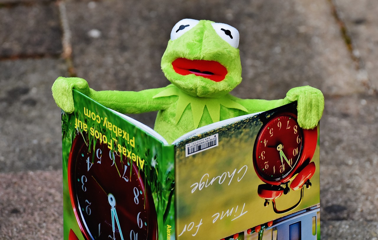 Kermit, Knyga, Paveikslėlių Knyga, Žiūrėti, Varlė, Sėdėti, Figūra, Juokinga, Varlės, Gyvūnas