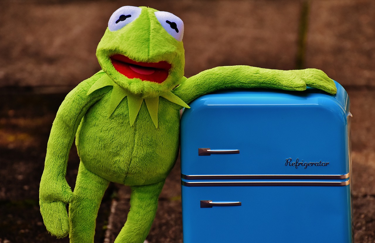 Kermit, Varlė, Šaldytuvas, Juokinga, Retro, Žalias, Žaislai, Minkštas Žaislas, Iškamša, Nemokamos Nuotraukos