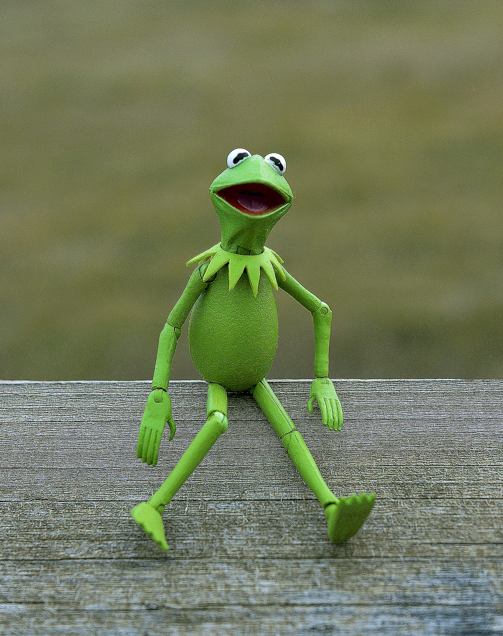 Kermit, Varlė, Muppet, Žalias, Amfibija, Žaislas, Veiksmo Figūra, Vaikystę, Lėlė, Sėdi