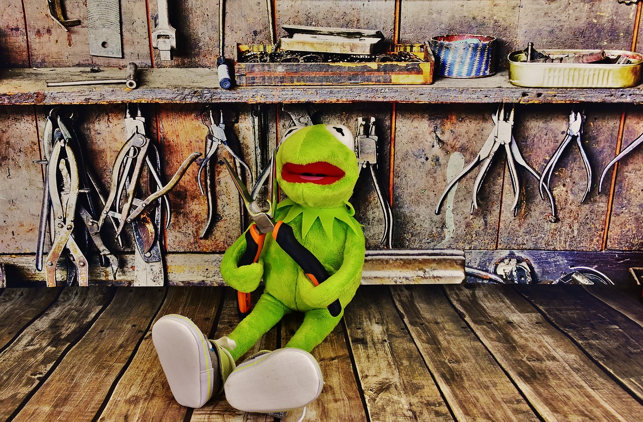 Kermit, Seminaras, Replės, Varlė, Darbas Juokingas, Nemokamos Nuotraukos,  Nemokama Licenzija