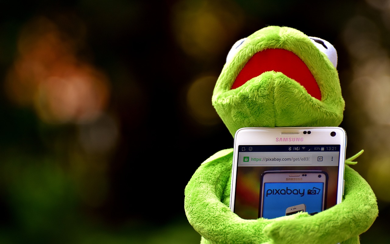 Kermit, Varlė, Išmanusis Telefonas, Pixabay, Vaizdų Duomenų Bazė, Kompiuteris, Figūra, Minkštas Žaislas, Iškamša, Juokinga