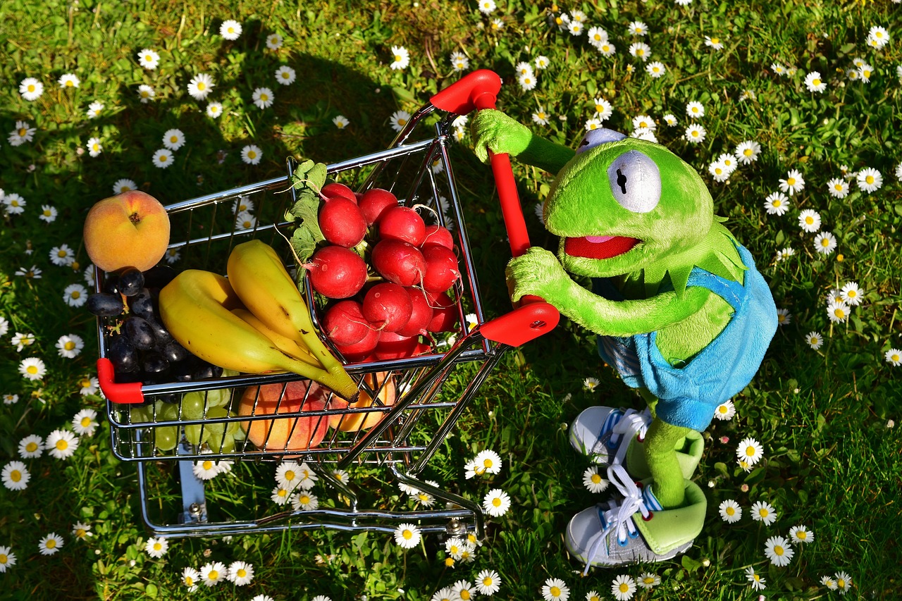 Kermit, Pirkinių Krepšelis, Sveikas Apsipirkimas, Vaisiai, Daržovės, Bananai, Persikai, Vynuogės, Ridikai, Pirkimas