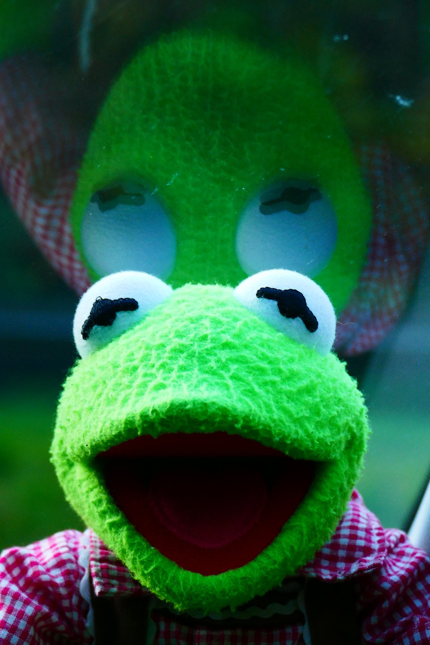 Kermit, Varlė, Atspindėti, Diskas, Lėlės, Žalias, Nemokamos Nuotraukos,  Nemokama Licenzija