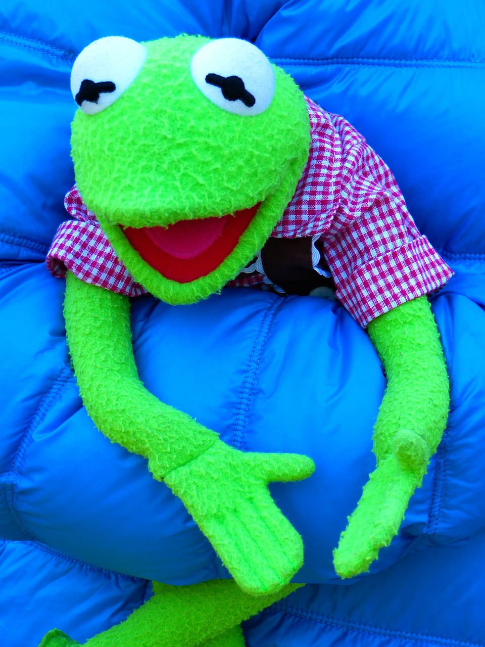 Kermit, Varlė, Lėlės, Žalias, Mėlynas, Ragukas, Nemokamos Nuotraukos,  Nemokama Licenzija