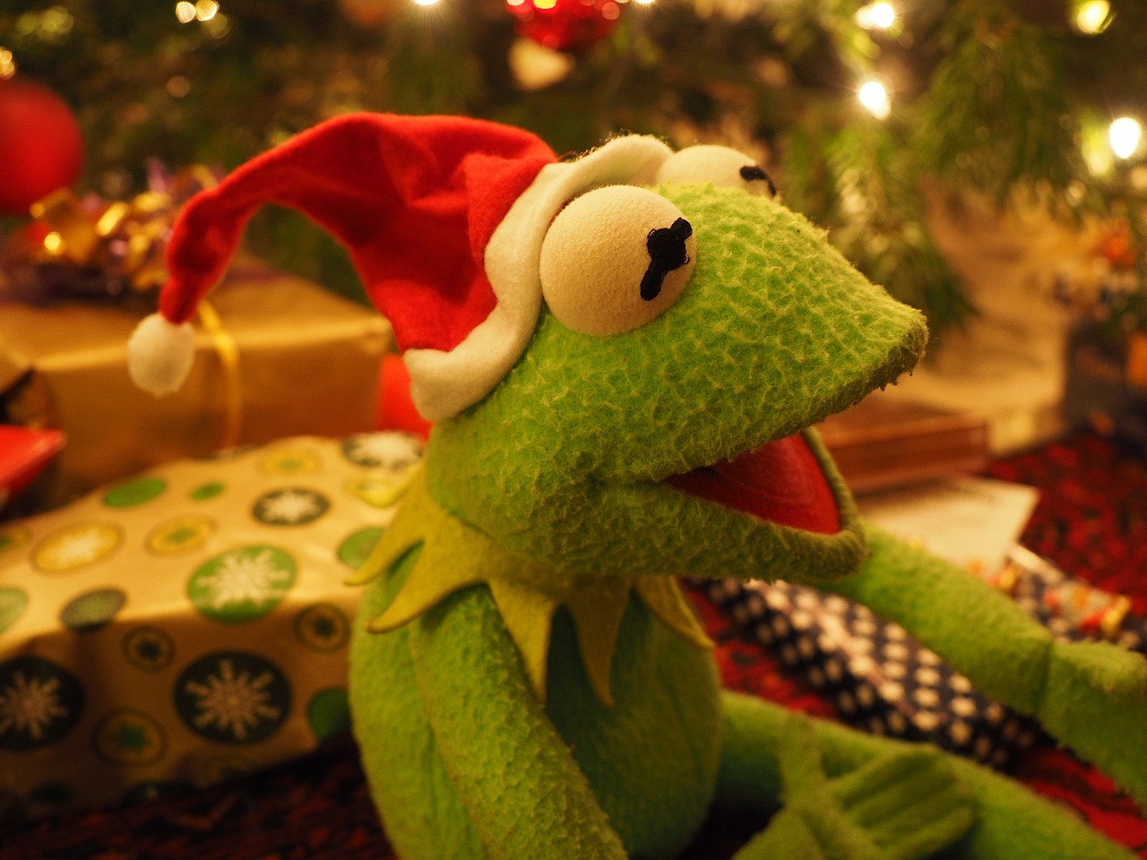 Kermit, Varlė, Kalėdų Varlė, Kalėdos, Kalėdų Senelis, Linksmas, Juokinga, Gera Nuotaika, Nemokamos Nuotraukos,  Nemokama Licenzija