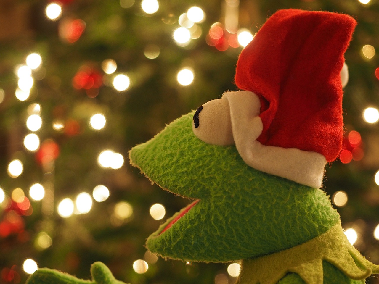 Kermit, Varlė, Kalėdų Varlė, Kalėdos, Kalėdų Senelis, Linksmas, Juokinga, Gera Nuotaika, Nemokamos Nuotraukos,  Nemokama Licenzija