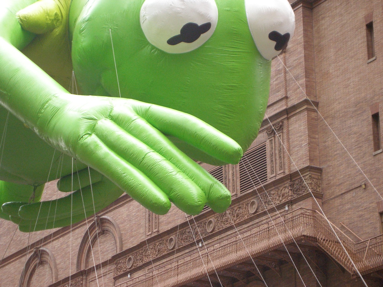 Kermit, Padėkos Diena, Paradas, Balionai, Nemokamos Nuotraukos,  Nemokama Licenzija