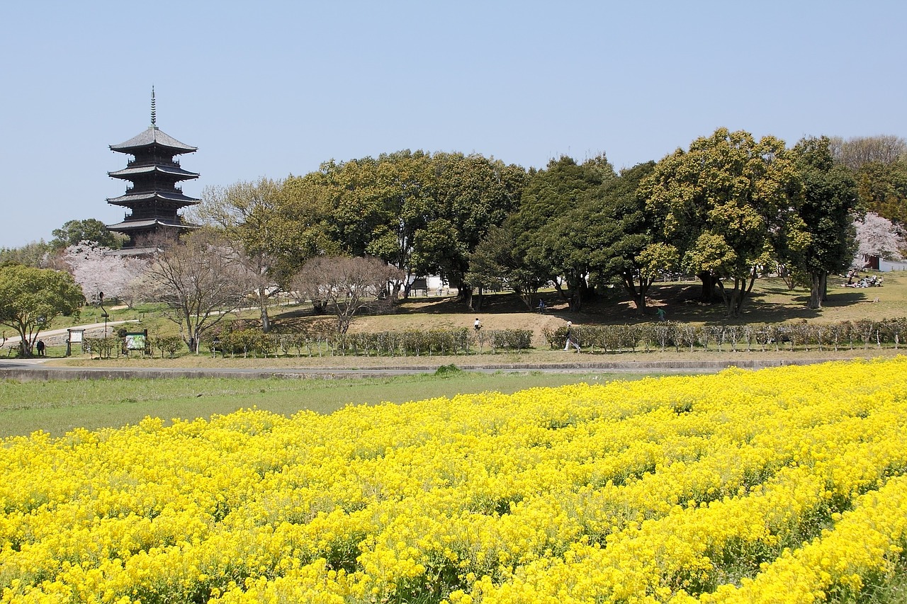 Kibi,  Okayama,  Geltona,  Penkių Pasakų Pagoda,  Japonijos Vaizdai,  K,  Šventykla,  Kraštovaizdis,  Pavasaris, Nemokamos Nuotraukos
