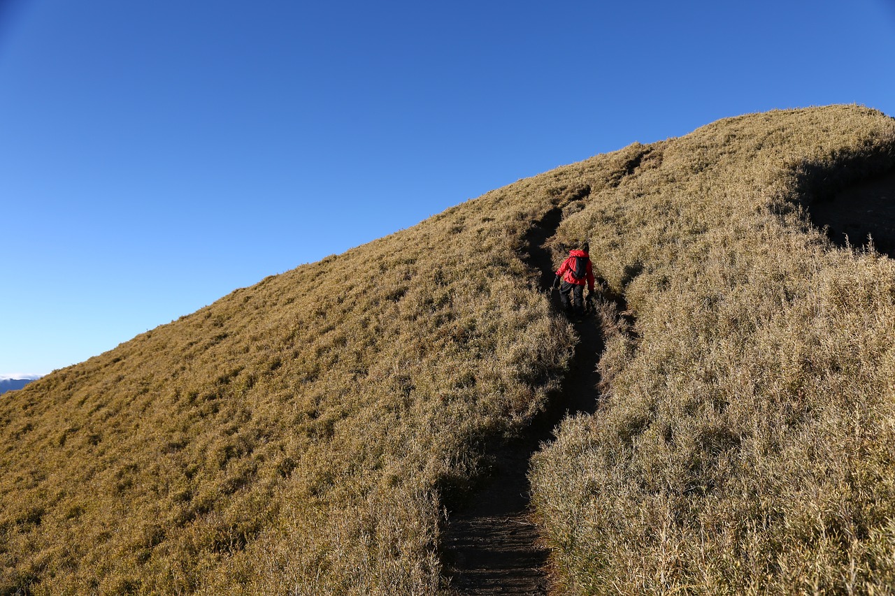 Vaikai, Kraštovaizdis, Alpinistas, Nemokamos Nuotraukos,  Nemokama Licenzija