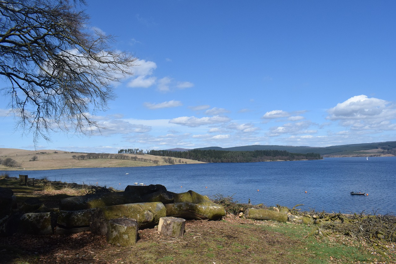 Kielder,  Vandens,  Kraštovaizdis,  Miškas,  Pobūdį,  Northumberland,  Vaizdingas,  Uk,  Vasara, Nemokamos Nuotraukos