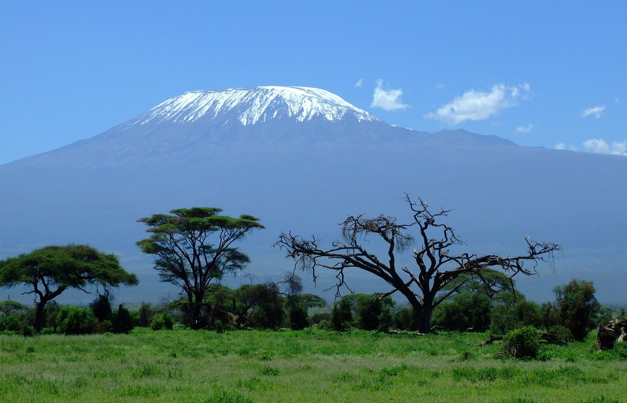 Kilimandžaras, Kenya, Kalnas, Amboseli, Safari, Afrika, Sniegas, Nemokamos Nuotraukos,  Nemokama Licenzija