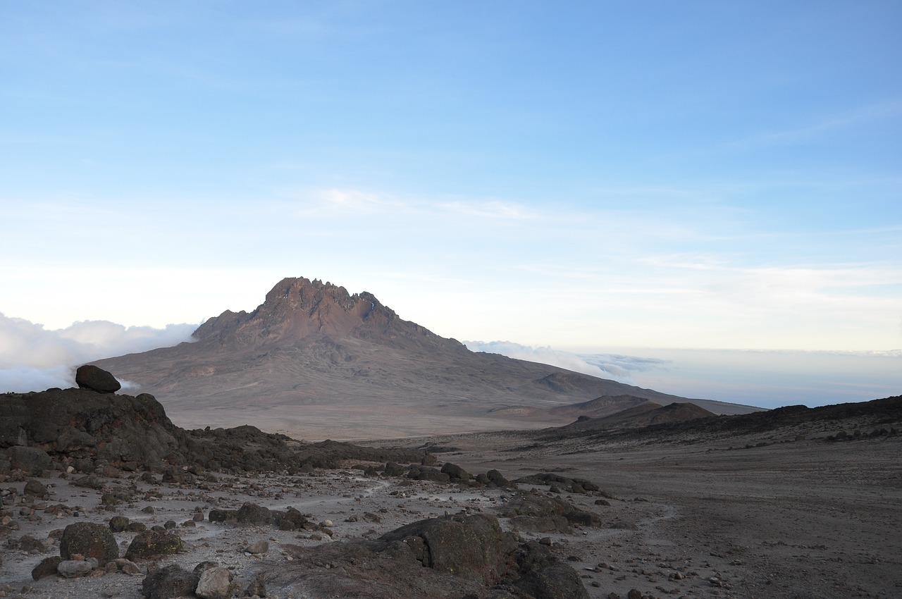 Kilimanjaro,  Afrikoje,  Kelionėse,  Pobūdį,  Nacionalinis Parkas,  Tanzania, Nemokamos Nuotraukos,  Nemokama Licenzija