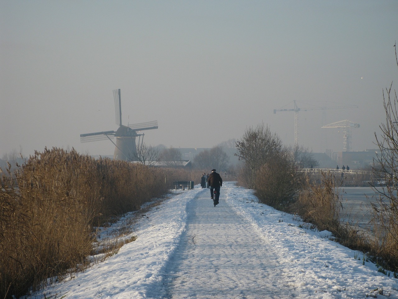 Kinderdijk, Holland, Molina, Žiemos Peizažas, Nemokamos Nuotraukos,  Nemokama Licenzija