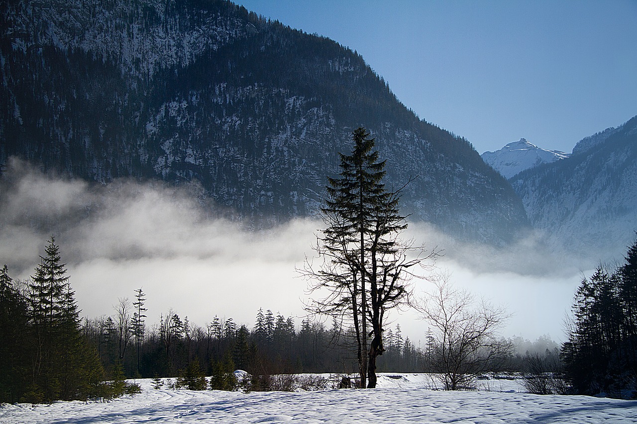 Karalius Ežeras, Bartholomä St, Ber, Berchtesgadener Žemės, Ekskursijos Paskirties Vieta, Bavarija, Berchtesgadeno Nacionalinis Parkas, Žiema, Watzmann, Berchtesgaden Alps