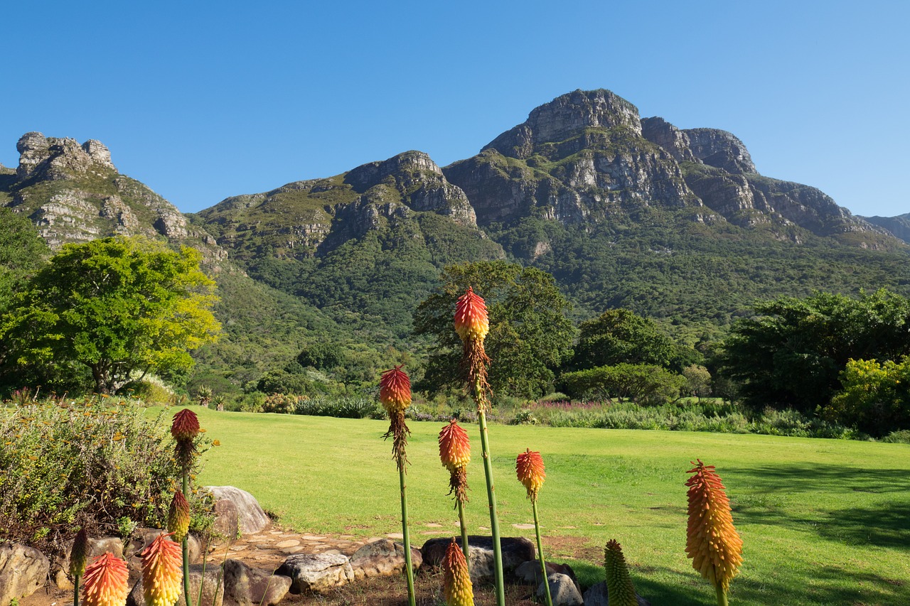 Kirstenbosch Botanikos Sodas,  Kraštovaizdis,  Kalnas,  Gamta,  Dangus,  Žolė,  Kalnai,  Vasara,  Žalias,  Kalnas