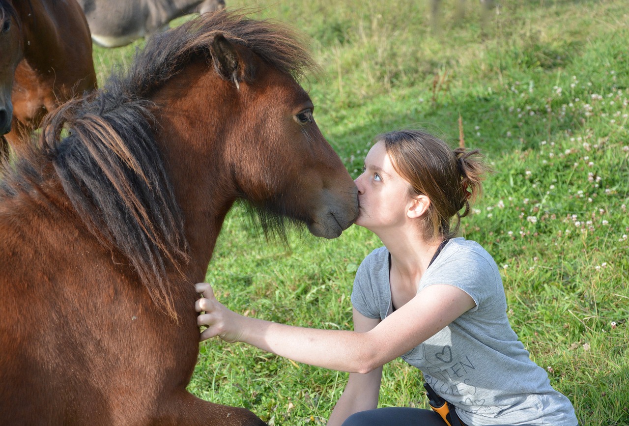 Bučinys, Shetland Ponis, Mergaitė, Jauna Moteris, Komplikacija, Švelnumas, Meilė, Mielas, Naminis Gyvūnas, Gyvūnas