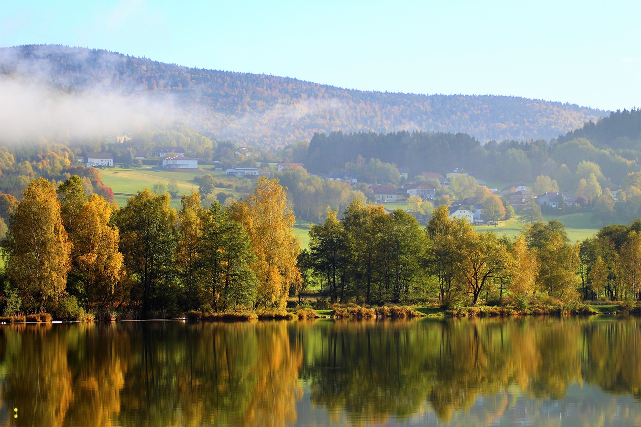 Klaffer, Ruduo, Medis, Lapuočių Miškas, Lapai, Aukso Ruduo, Nuotaika, Lapuočių Medis, Kraštovaizdis, Dangus