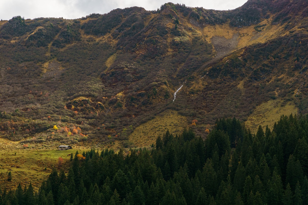 Kleinwalsertal, Allgäu, Aukšti Kalnai, Alpių, Schwarzwassertal, Žygis, Bergtour, Austria, Allgäu Alpės, Kraštovaizdis