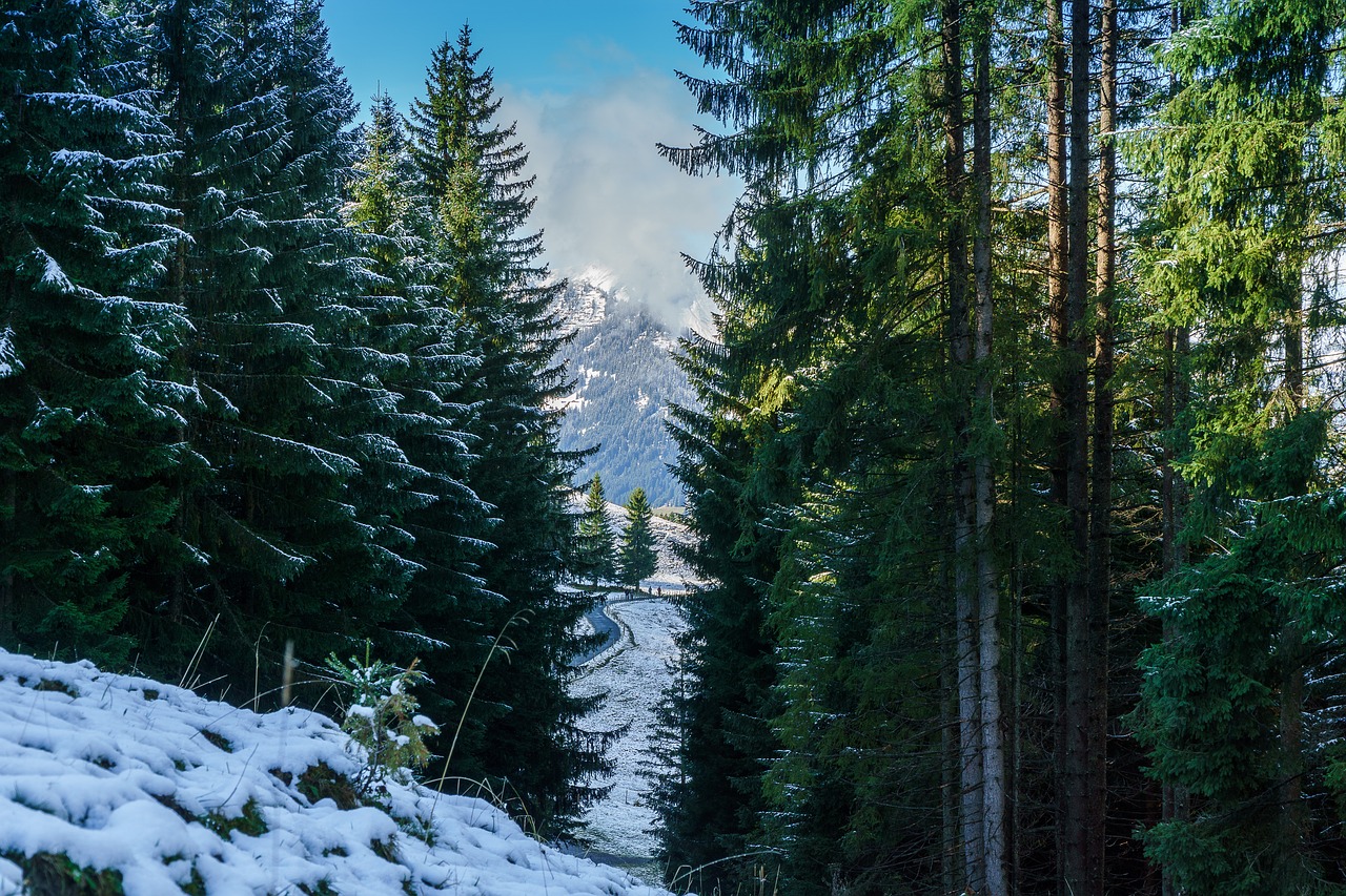 Kleinwalsertal, Hirschegg, Žygis, Kalnas, Kalnai, Alpių, Allgäu, Sniegas, Austria, Aukšti Kalnai