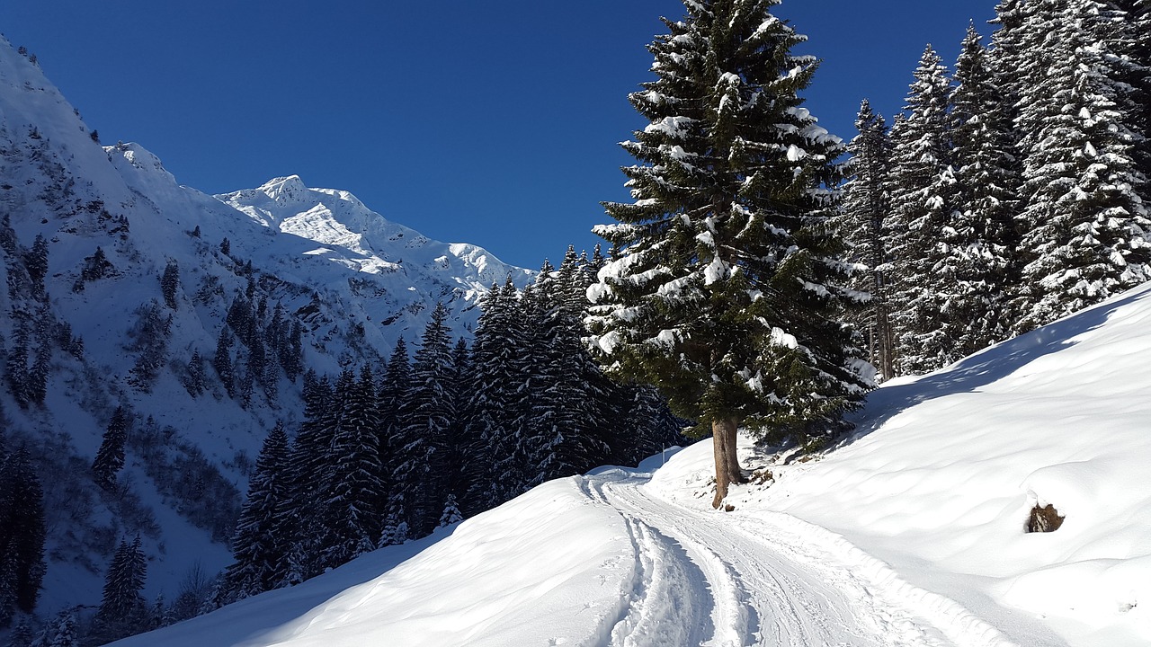 Kleinwalsertal, Žiema, Allgäu, Alpių, Toli, Miško Kelias, Sniegas, Snieguotas, Kalnai, Kraštovaizdis