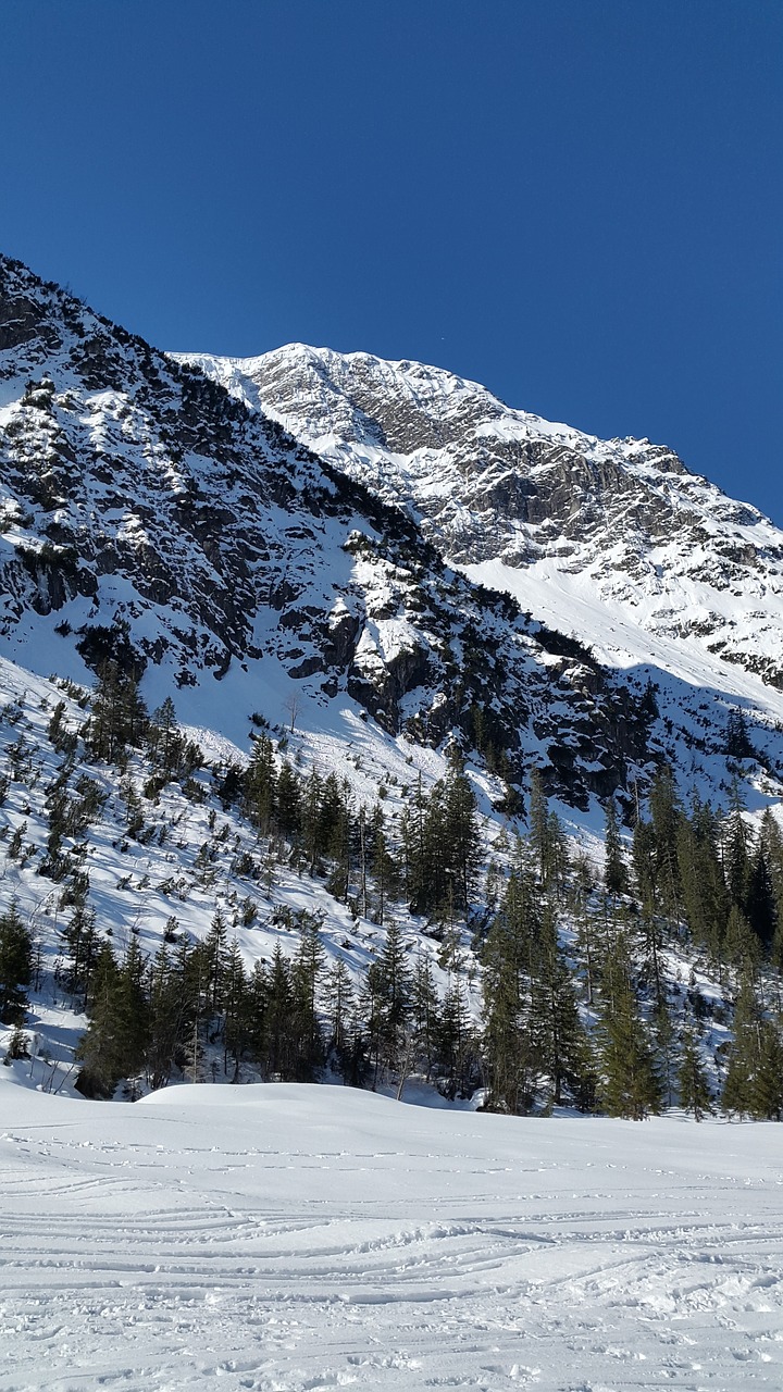 Kleinwalsertal, Alpių, Wildental, Žiema, Kalnas, Sniegas, Austria, Kraštovaizdis, Žiemą, Gamta