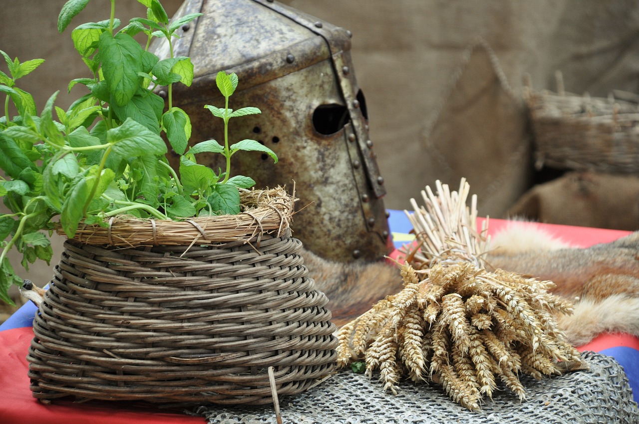 Riteris, Šarvai, Šalmas, Ginklai, Kardas, Riterio Šarvai, Viduramžių, Akių Pusė, Festivalis, Skydas