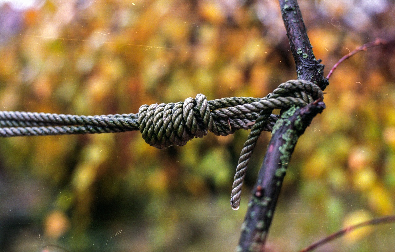 Mazgas, Lynai, Susietas, Eilutė, Simbolis, Ruda, Kilpa, Galas, Laidas, Grubus