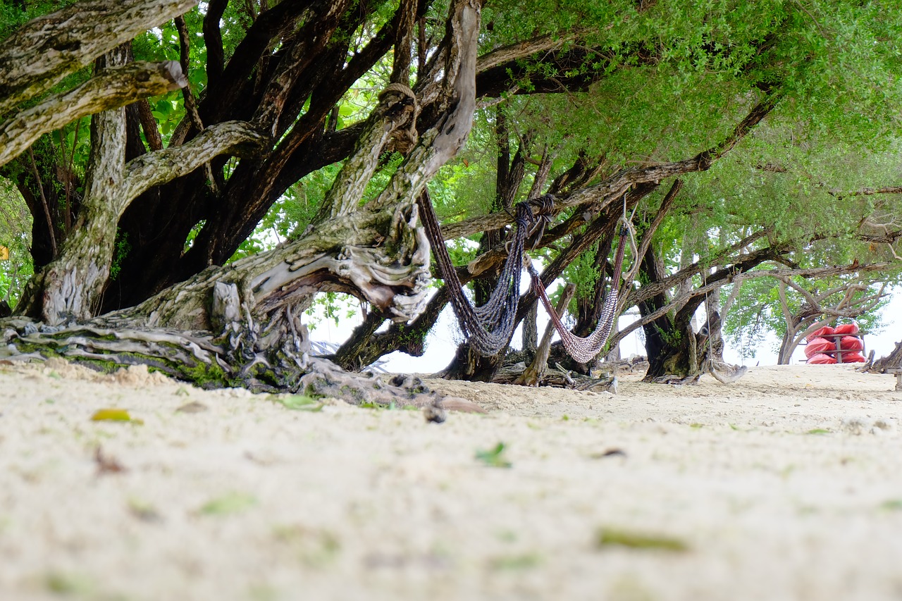 Koh Samet, Paplūdimio Koralas, Natūralus Ramus, Nemokamos Nuotraukos,  Nemokama Licenzija