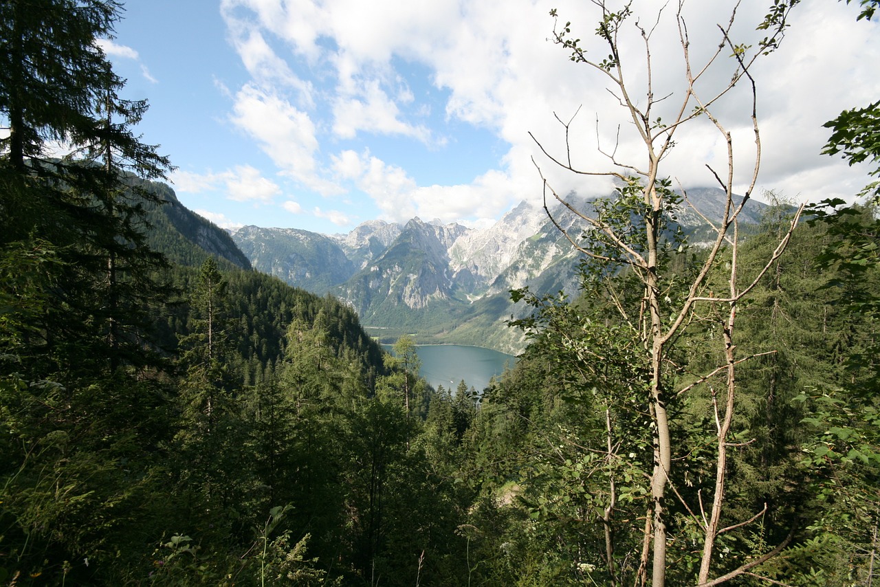 Königssee, Berchtesgadeno Nacionalinis Parkas, Katilo Siena, Vanduo, Alpių, Watzmann, Kalnai, Nemokamos Nuotraukos,  Nemokama Licenzija