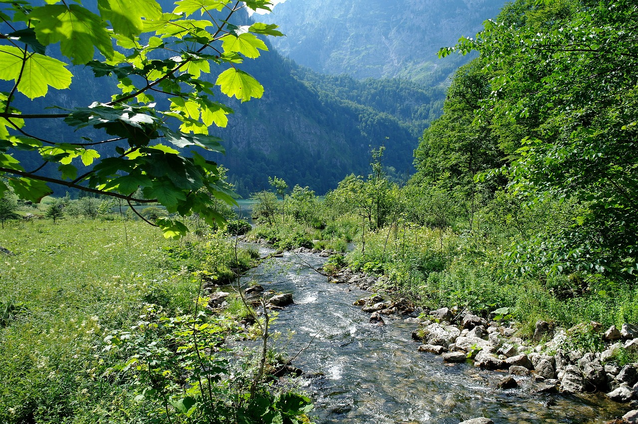 Königssee, Berchtesgaden, Bavarija, Saletas, Saulės Šviesa, Vanduo, Romantika, Kalnai, Romantiškas, Žalias