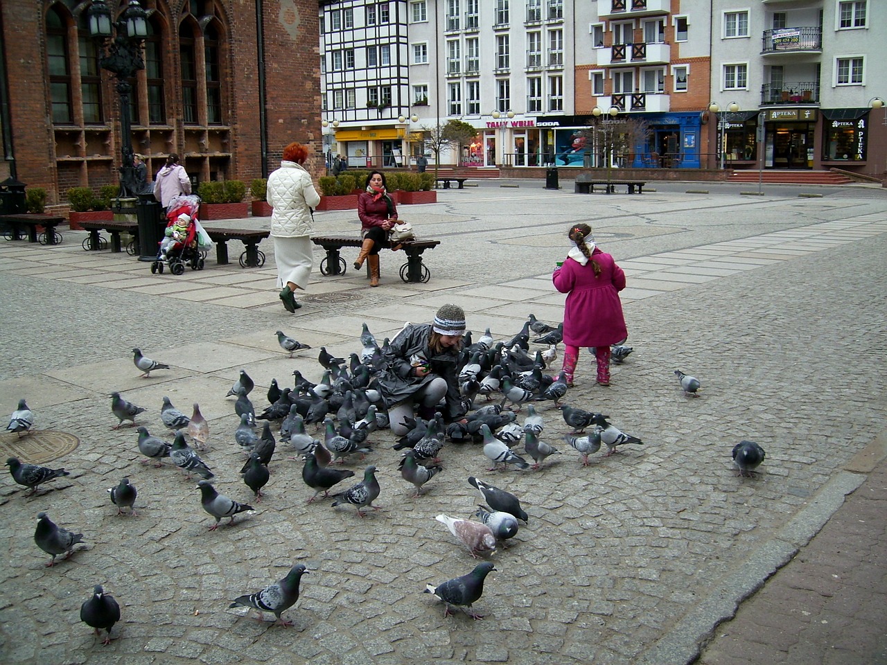 Kołobrzeg, Parduotuvė, Senamiestis, Balandžiai, Maža Mergaitė, Maitinti, Nemokamos Nuotraukos,  Nemokama Licenzija