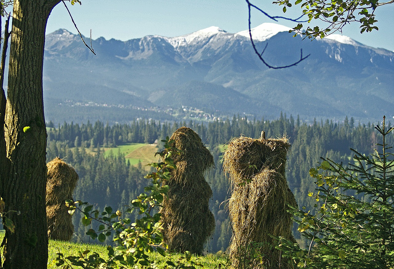 Kopkio Šienas, Šienas, Šienavimas, Ruduo, Gamta, Kraštovaizdis, Tatry, Lenkų Tatros, Kalnai, Pieva