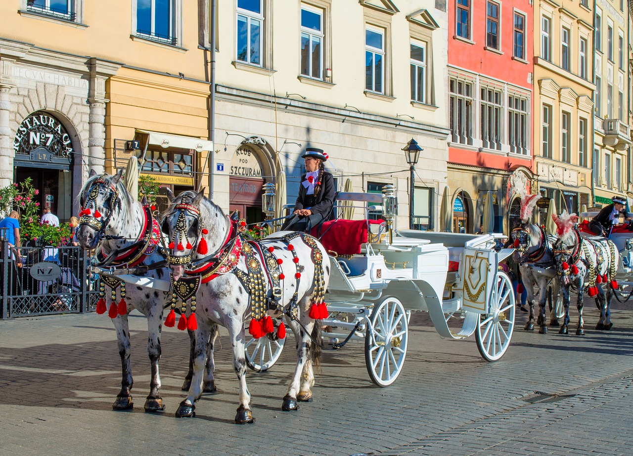 Krakow, Polga, Europa, Vagonas, Taksi, Arklys, Plotas, Centras, Nemokamos Nuotraukos,  Nemokama Licenzija