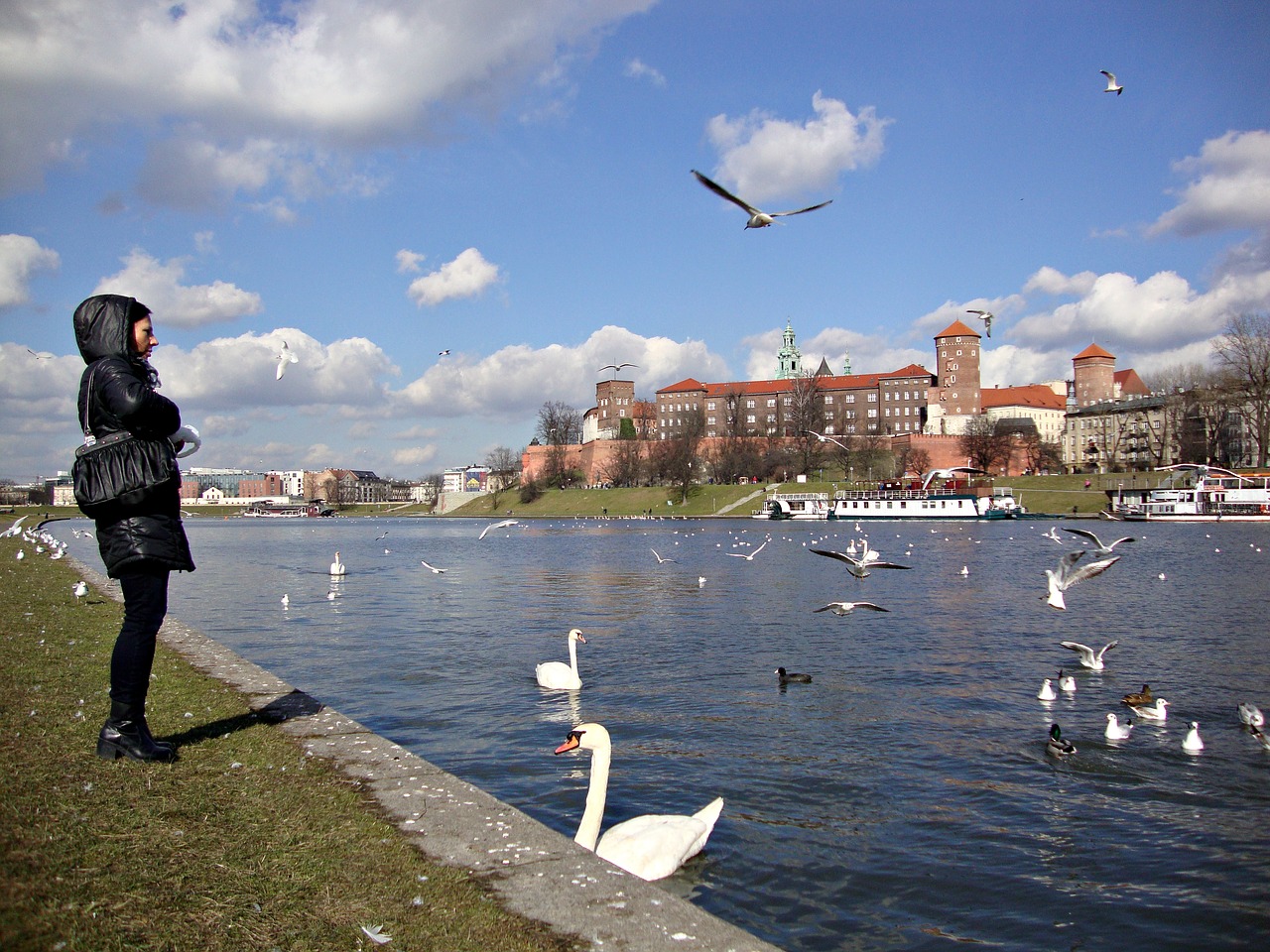 Kraków, Lenkija, Turizmas, Wawel, Architektūra, Paminklas, Nemokamos Nuotraukos,  Nemokama Licenzija