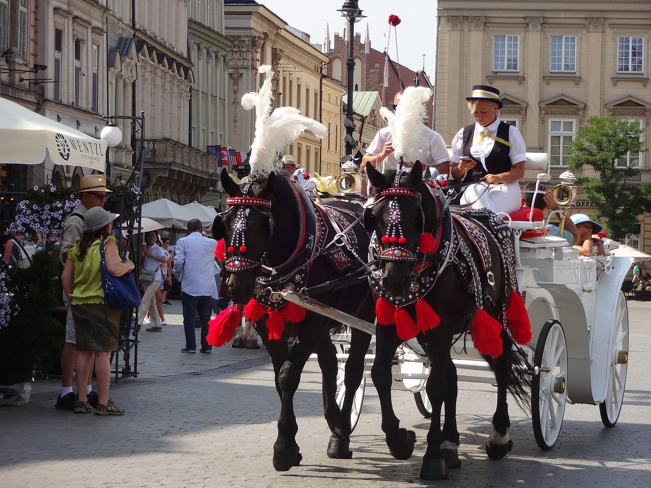 Krakow, Lenkija, Arklys, Gatvė, Clarence, Kvadratas, Nemokamos Nuotraukos,  Nemokama Licenzija