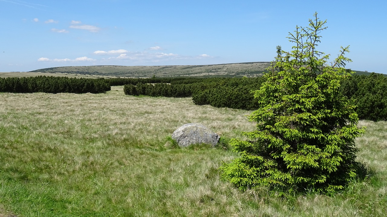 Krkonoše Milžinas Kalnai,  Kalnai,  Pobūdį,  Kraštovaizdis,  Lenkija,  Turizmas,  Kalnų Kelionėse,  Kalnų Žygiai,  Peržiūrėti,  Pėsčiųjų Takai