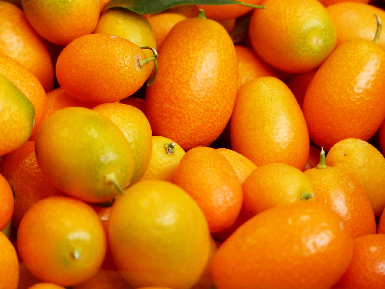 Kumquats, Vaisiai, Vaisiai, Fortunella, Nykštukė, Oranžinė, Deimantinis Žalias, Rutaceae, Kriaušės Formos, Kiaušialąstė