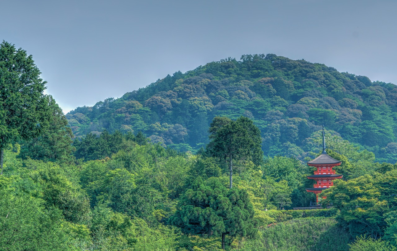 Kyoto, Japonija, Kalnai, Kraštovaizdis, Kiyomizu Šventykla, Asija, Japanese, Orientyras, Kelionė, Žinomas