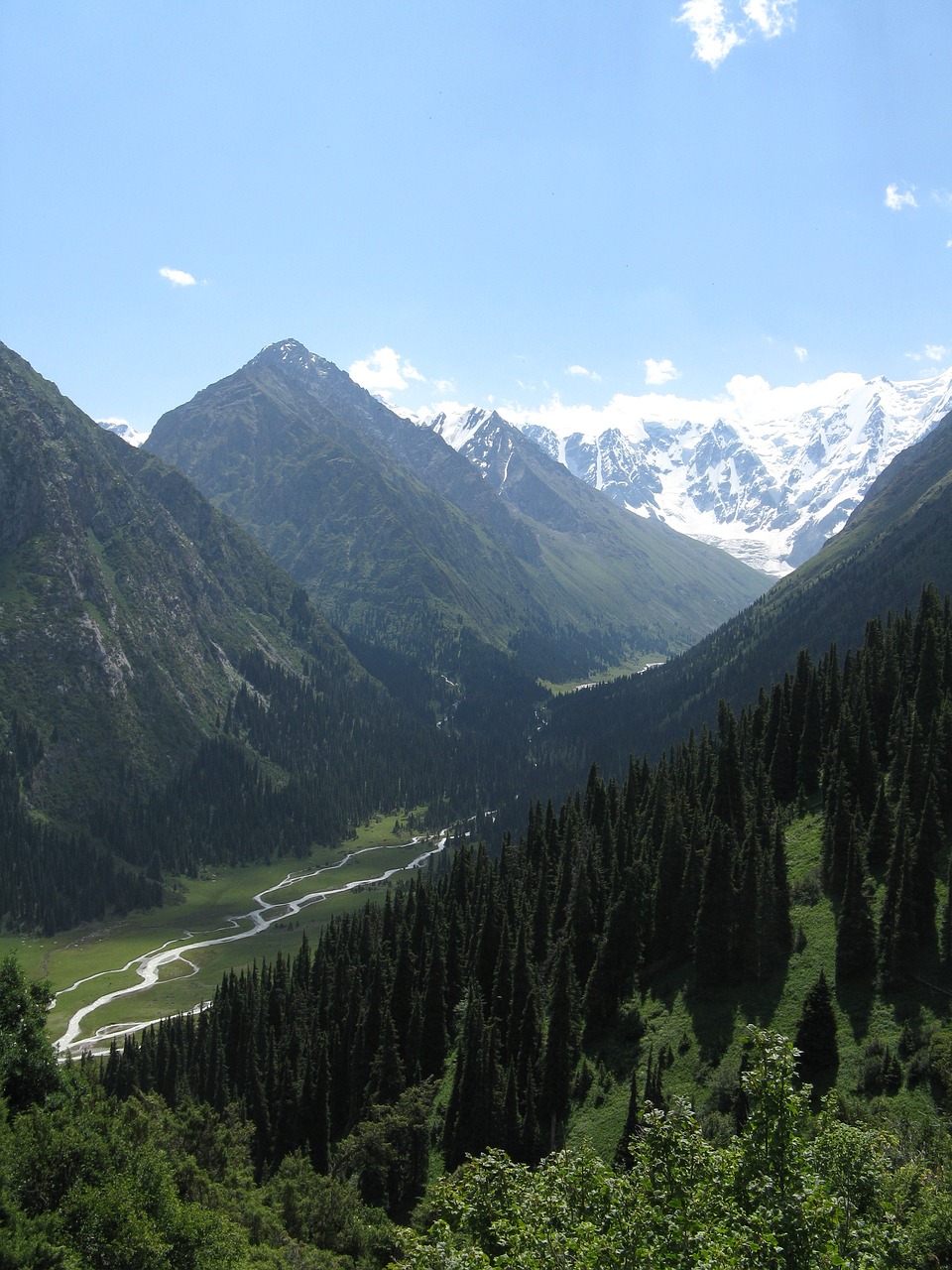 Kirgizija, Kalnai, Gamta, Kraštovaizdis, Kalnas, Sniegas, Miškas, Dangus, Medžiai, Panorama