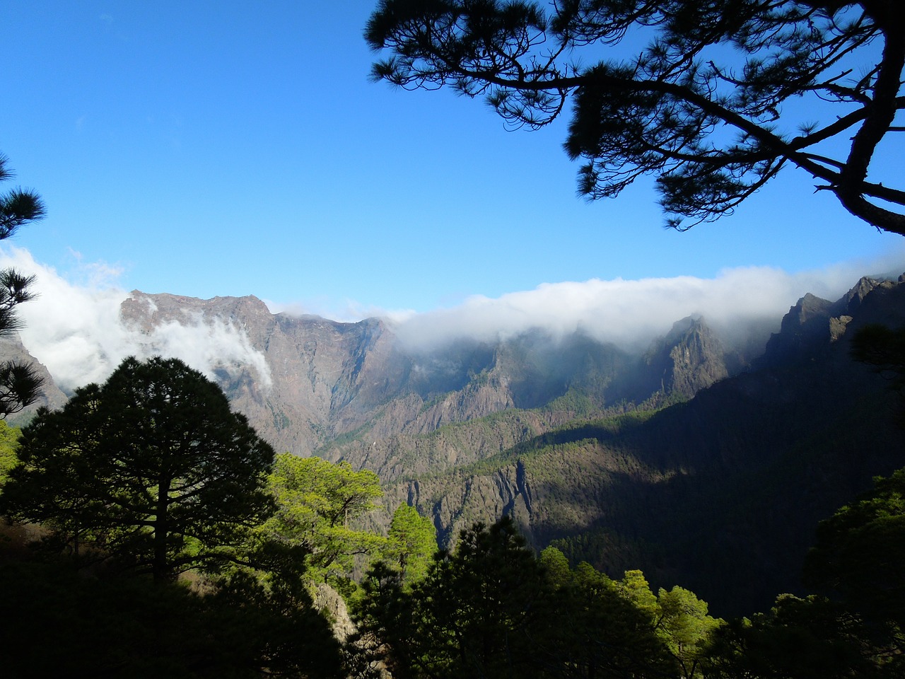 La Palma, Gamta, Kanarų Salos, Žygiai, Kaldera, Rūkas, Nemokamos Nuotraukos,  Nemokama Licenzija