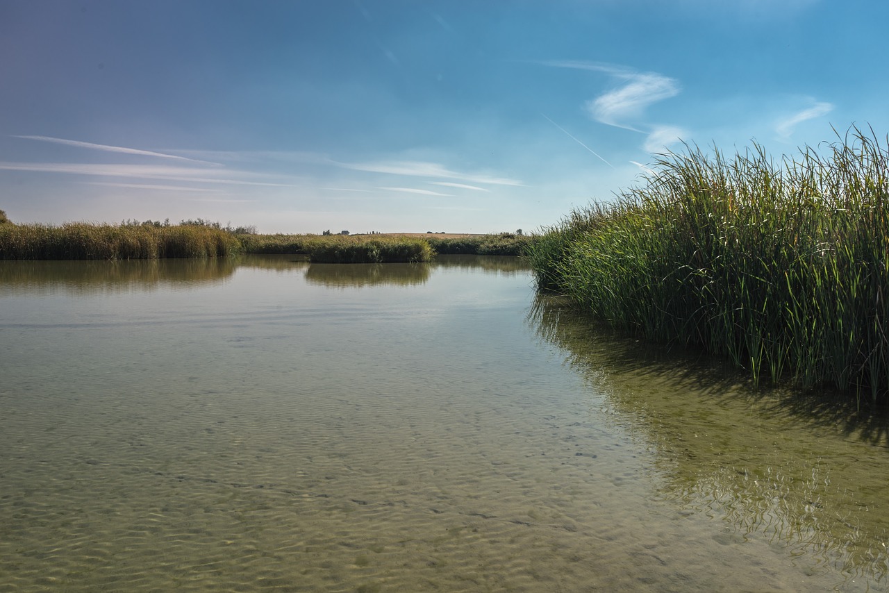 Laguna, Ežeras, Žvejyba, Parkas, Gamta, Kraštovaizdis, Vanduo, Ispanija, Upė, Dangus