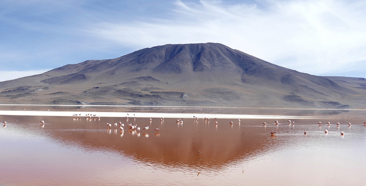 Laguna, Colorada, Bolivija, Nemokamos Nuotraukos,  Nemokama Licenzija