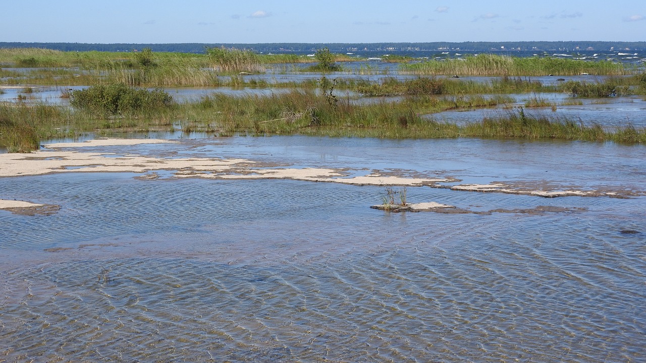 Ežeras, Vänern, Bankas, Akmens Plokščiakalnė, Švedija, Siauras, Nemokamos Nuotraukos,  Nemokama Licenzija