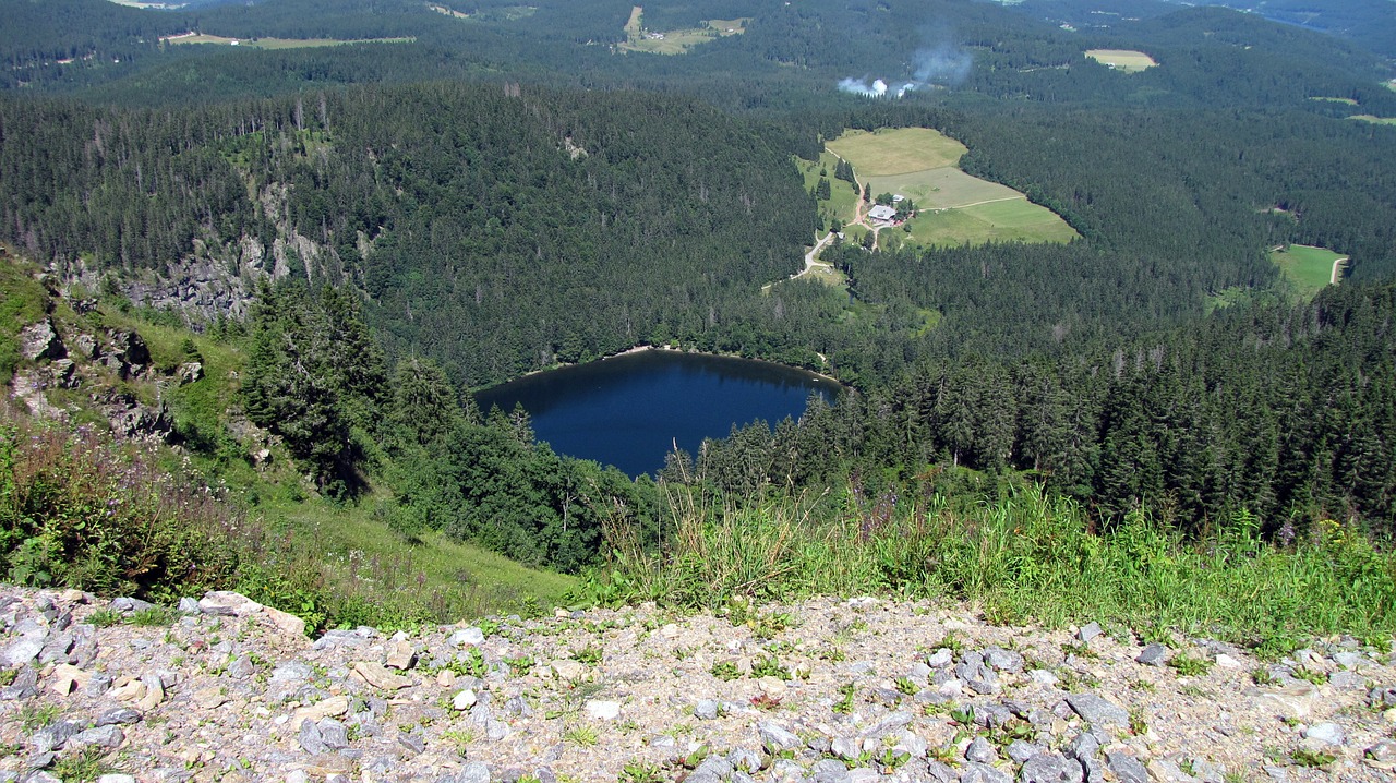 Ežeras, Dėžutės Ežeras, Juodasis Miškas, Miškas, Nemokamos Nuotraukos,  Nemokama Licenzija