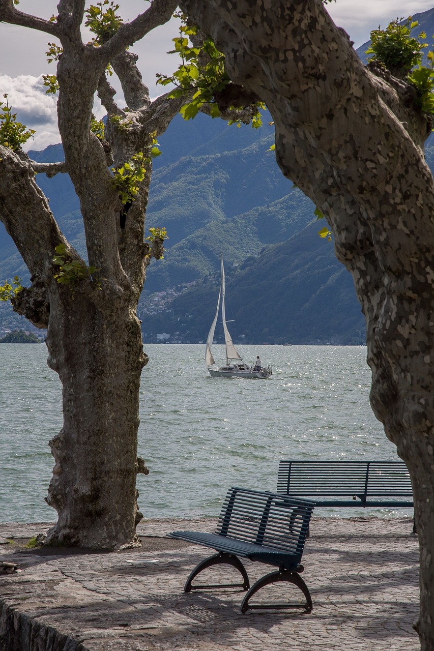 Ežeras, Lago Maggiore, Šventė, Burinė Valtis, Nemokamos Nuotraukos,  Nemokama Licenzija