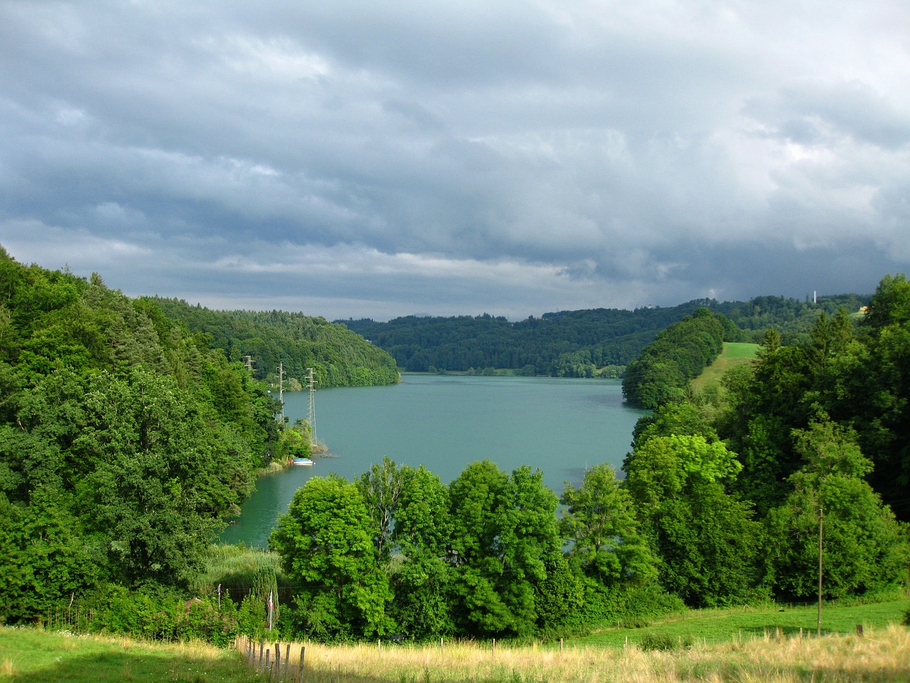 Ežeras, Vanduo, Šveicarija, Kraštovaizdis, Vandenys, Ežeras Wohlen, Gamta, Medis, Medžiai, Miškas