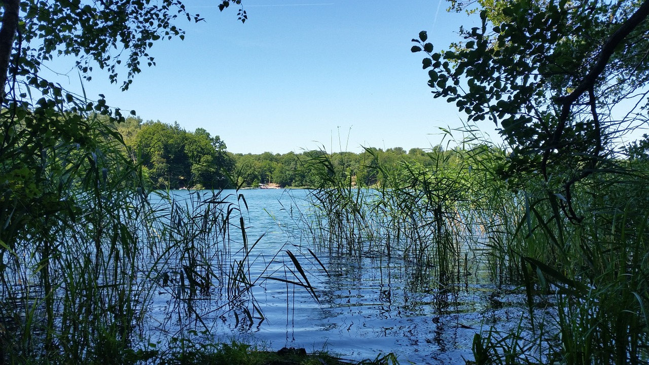 Ežeras, Bankas, Miškas, Liepnitzsee, Brandenburg, Berlynas, Nemokamos Nuotraukos,  Nemokama Licenzija