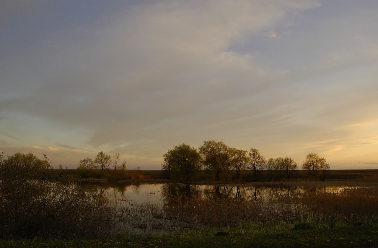 Ežeras, Pelkė, Pavasaris, Po Saulėlydžio, Gamta, Ukraina, Vanduo, Nemokamos Nuotraukos,  Nemokama Licenzija