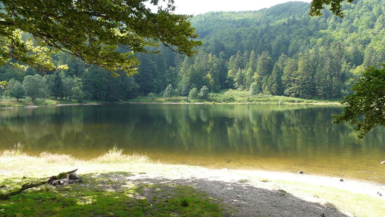 Ežeras, Vosges, Kalnai, Nemokamos Nuotraukos,  Nemokama Licenzija